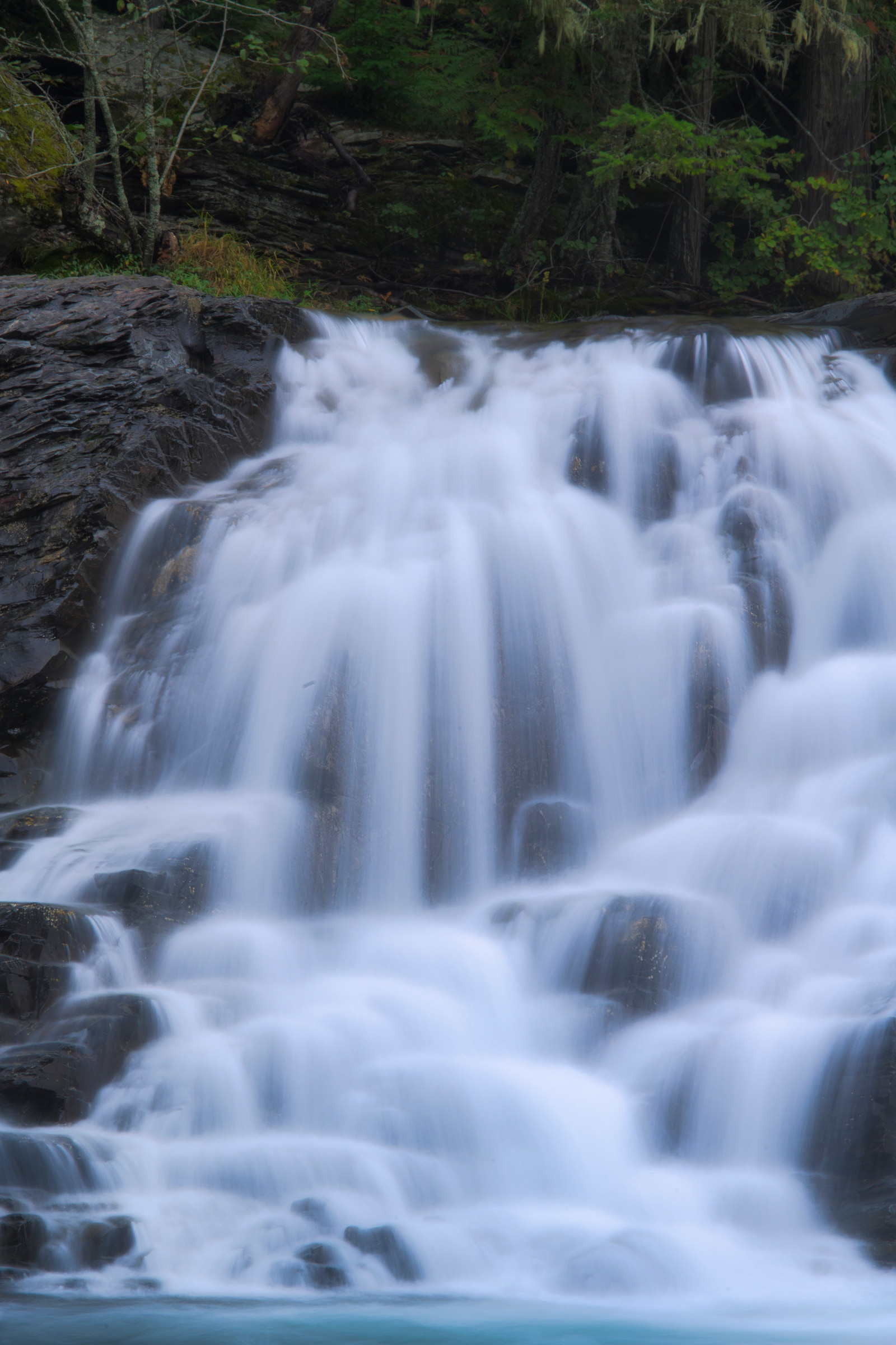 A waterfall cascades over dark rocks, its water churning and foaming as it flows into a pool below, surrounded by lush green forest.