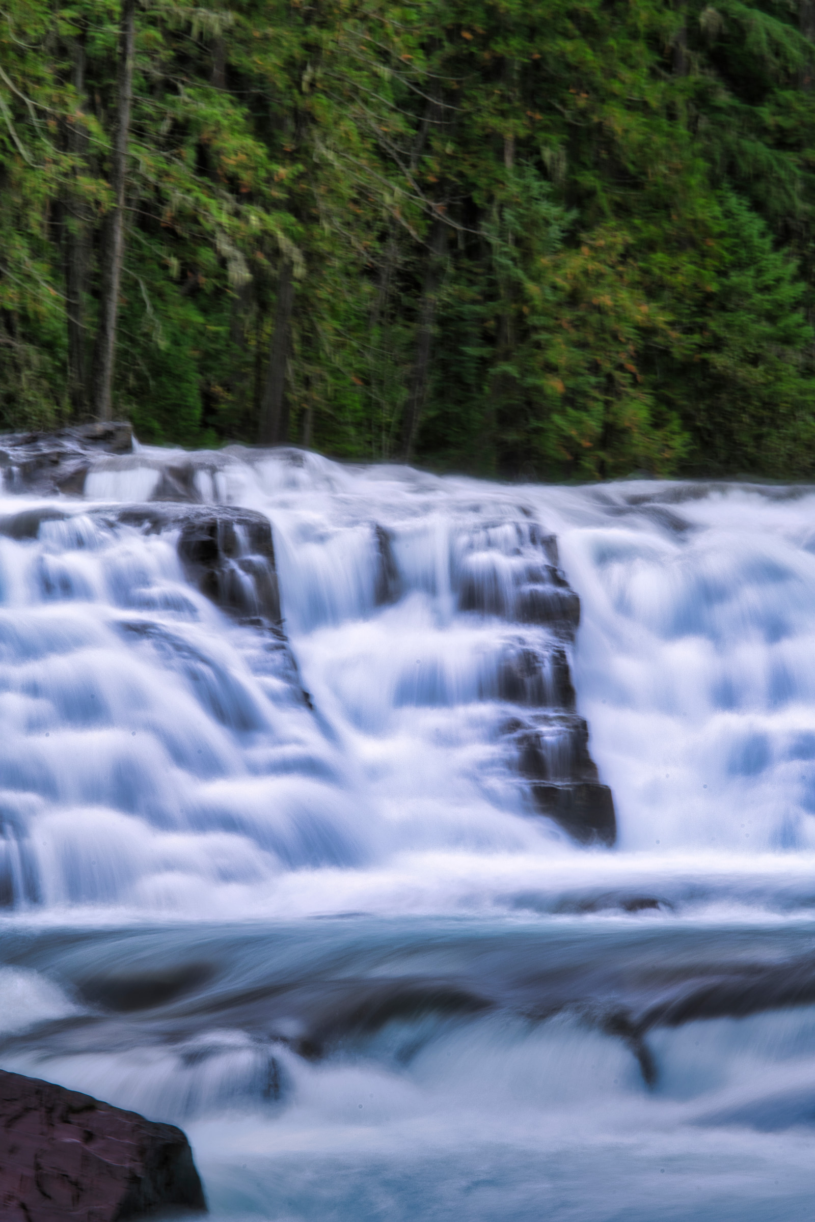 A series of small waterfalls cascade over rocky ledges in a lush green forest.