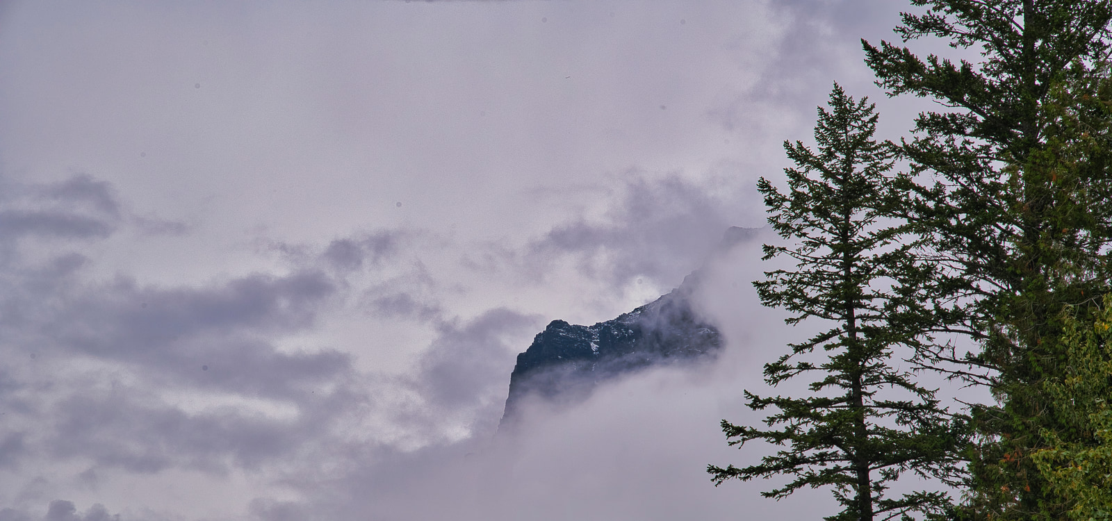 A mountain peak rises above a low-hanging cloud layer, framed by evergreen trees on the right.