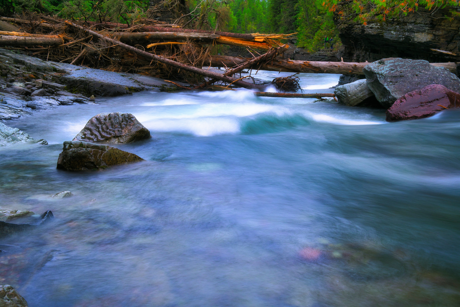 A fast-flowing river with clear water rushing over rocks and logs, surrounded by forested terrain.