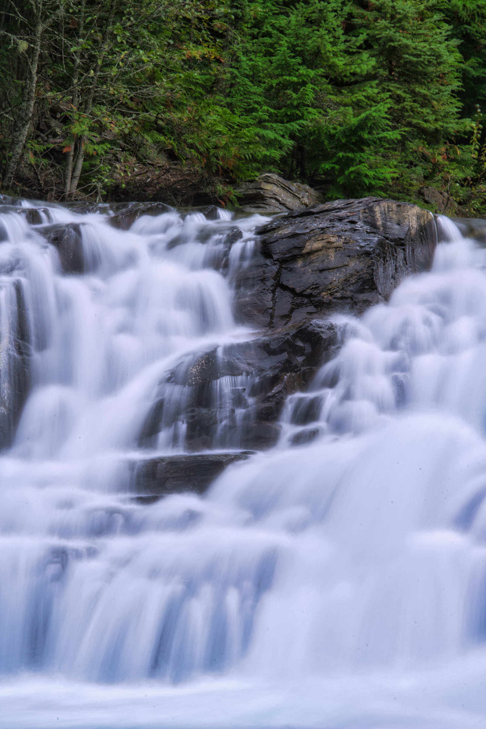 A waterfall cascades over dark rocks, surrounded by lush green forest.