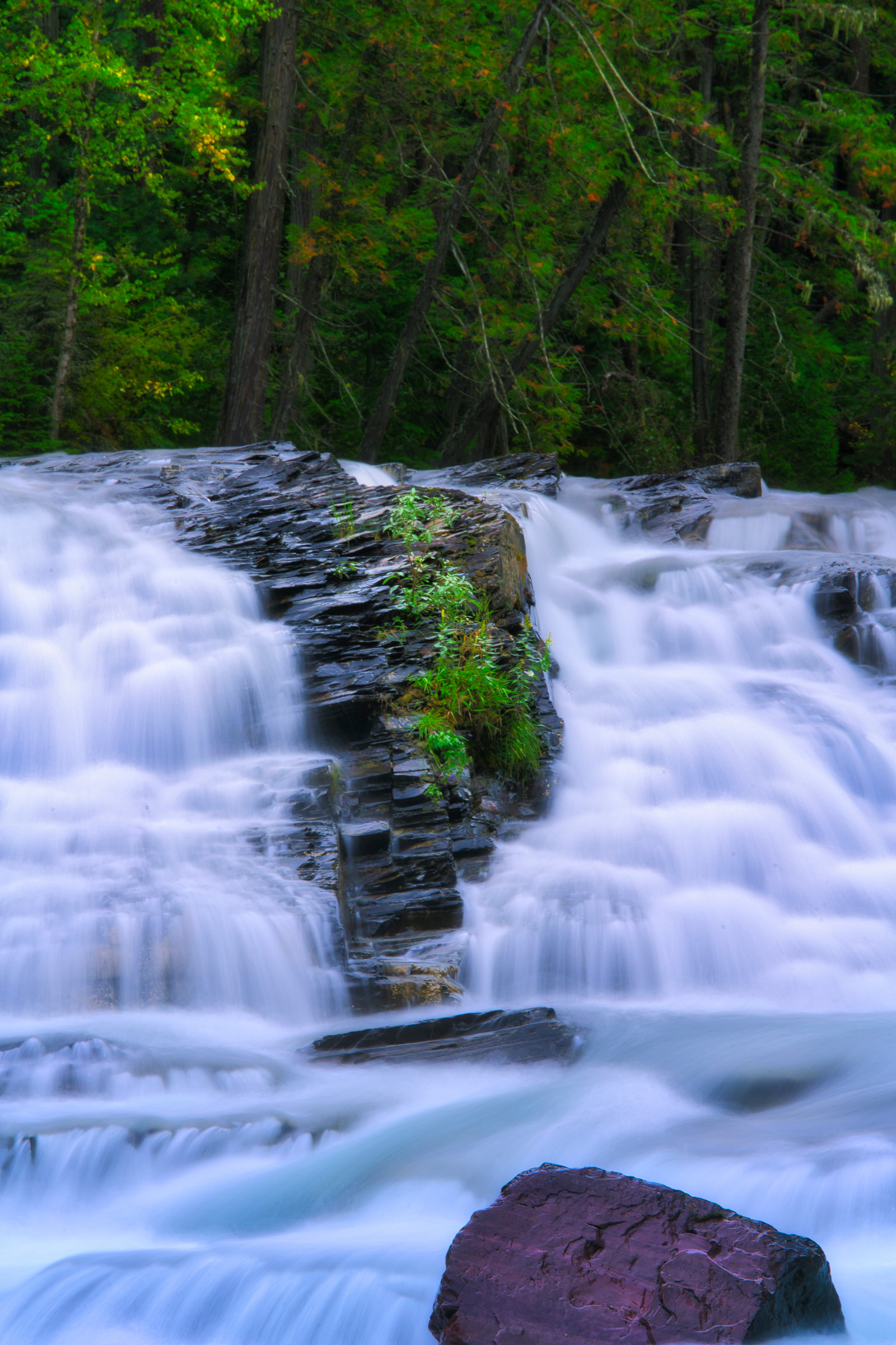 A waterfall cascades over dark rocks, framed by lush green forest.