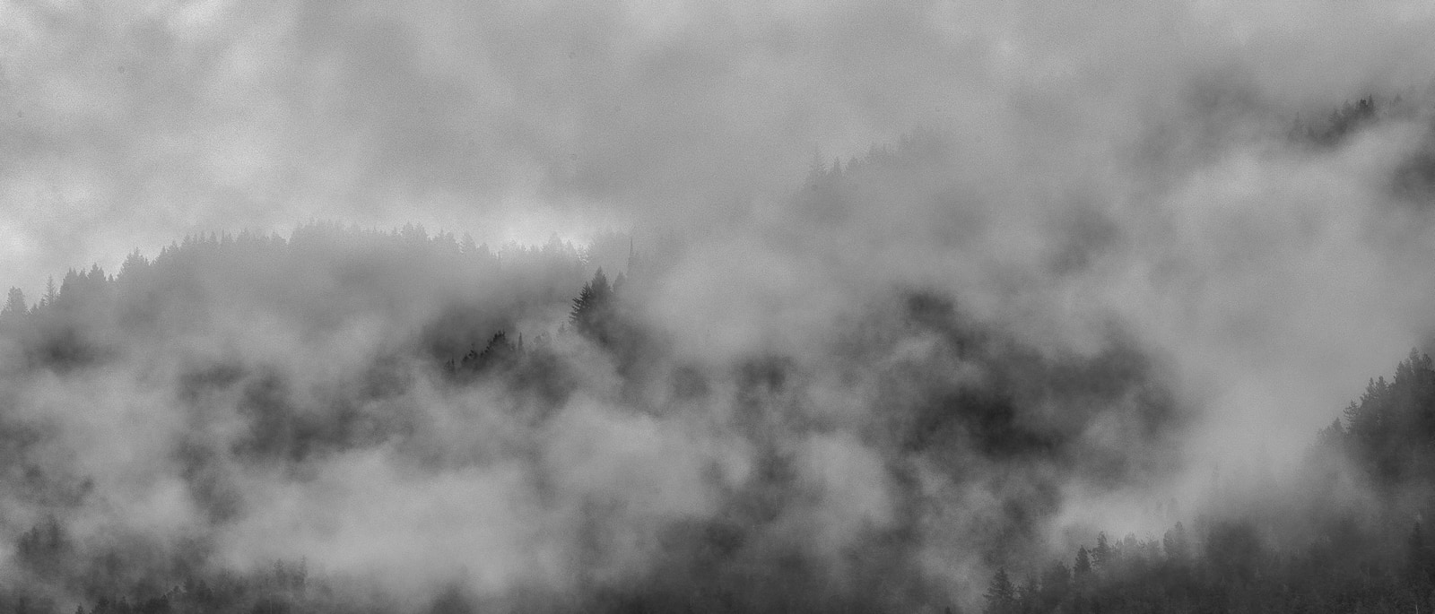 A textured, abstract pattern in grayscale with varying densities and shapes.